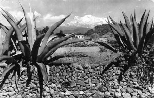 MEXICO~EL IZTACCIHUATL MOUNTAIN 5,250m~1950s REAL PHOTO POSTCARD