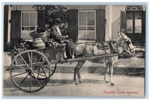 Bermuda Postcard Horse Carriage and Vegetable Dealer c1910 Unposted Antique