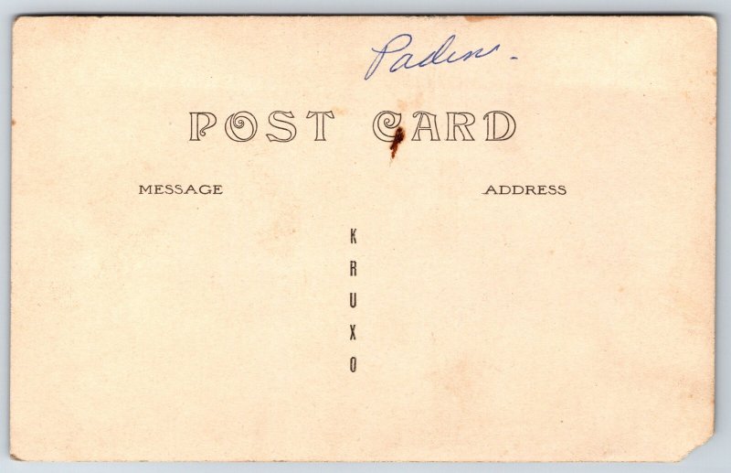 Gent in Buggy~Whip~Horses in Fly Nets~Chickens Underfoot~c1910 RPPC