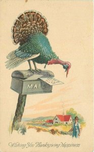 Artist impression C-1910 Turkey Mailbox Thanksgiving Postcard 21-9514