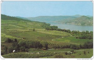 Blossom Time, Lake Kalamalka, Okanagon-Cariboo Highway, British Columbia, Can...