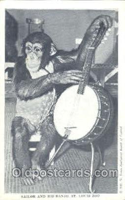 Sailor & his Banjo, St. Louis Zoo USA Monkey Unused two pin wholes in Card, r...