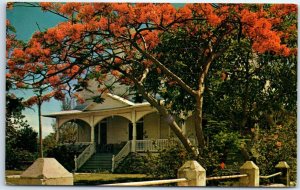 M-42447 Poincianas Framing and Old Homesite Key West Florida