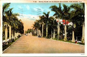 Florida Fort Myers Royal Palms On McGregor Boulevard 1935 Curteich