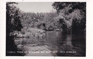 San Blas Islands Panama Paseo De La Tobara Herbera RPC Old Postcard