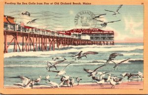 Maine Old Orchard Beach Feeding The Sea Gulls From The Pier 1950