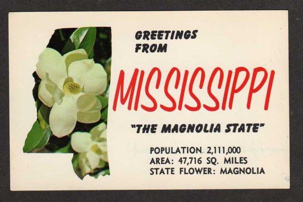 MS Greetings from MISSISSIPPI Magnolia MISS Postcard