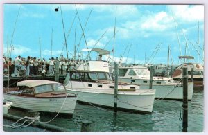 1950's-60's OCEAN CITY MARYLAND*MD*VISITORS VIEWING THE CATCH*FISHING BOATS