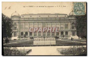 Old Postcard The Paris Museum