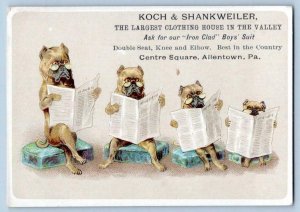 1880's 4 PUG DOGS READING NEWSPAPERS*ALLENTOWN PA*KOCH & SHANKWEILER*TRADE CARD