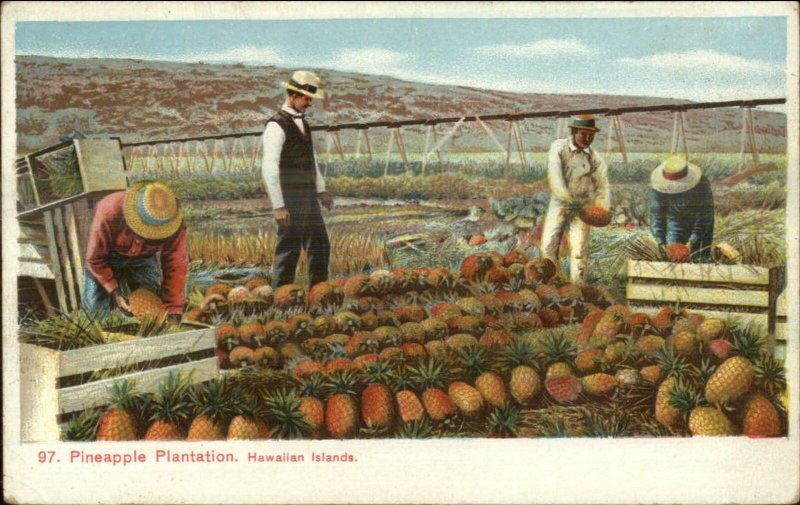 Pineapple Plantation Farmers Hawaii HI c1910 Private Mailing Card