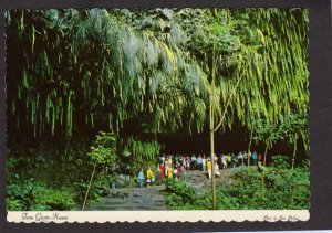 HI Fern Grotto Wailua River Boat Cruise Kauai Hawaii Postcard