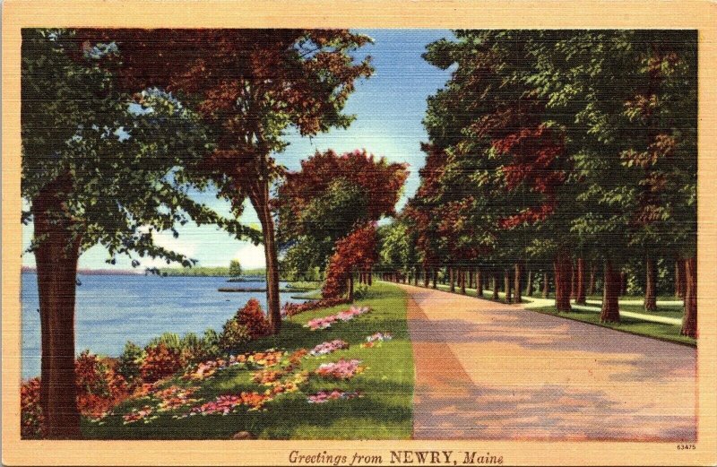 Greetings Newry Maine Scenic Roadside Landscape Flowers Lake Linen Postcard 