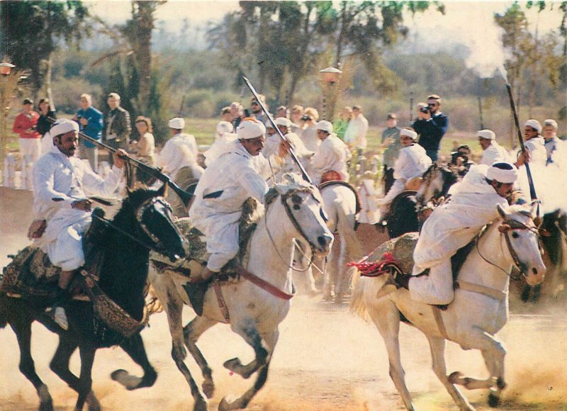 Postcard Africa native ethnic morocco  folklore ritual horse warriors