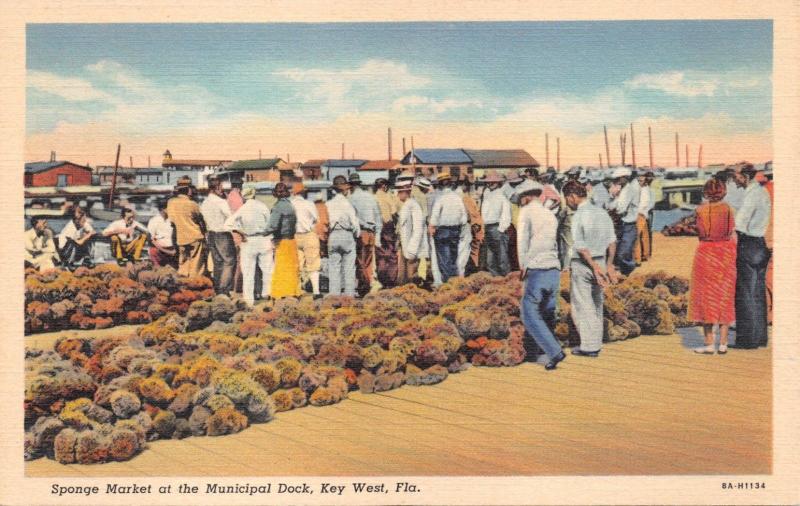 KEY WEST FLORIDA~SPONGE MARKET AT MUNCIPAL DOCK POSTCARD 1940s