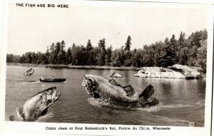 RPPC Exaggeration Fish Paul Rodenkirch's Bar Prairie du Chien WI Postcard F09