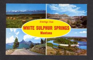 MT Greetings WHITE SULPHUR SPRINGS MONTANA POSTCARD PC