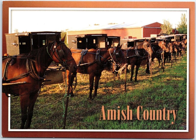 VINTAGE CONTINENTAL SIZE POSTCARD AMISH TRADITIONAL TRANSPORTATION