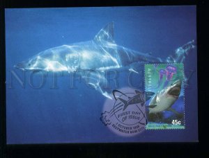 209486 Australia white pointer shurk maximum card