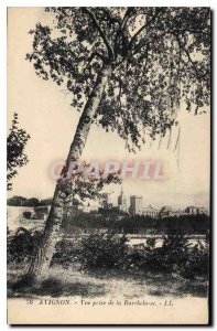 Old Postcard View from Avignon Barthelasse