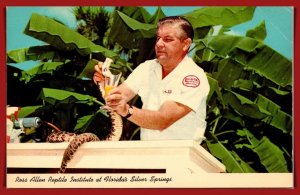 Florida, Silver Springs - Milking A Diamondback Rattlesnake - [FL-1115]