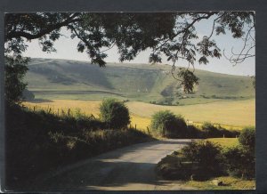 Sussex Postcard - Long Man, Wilmington, Polegate   RR7459