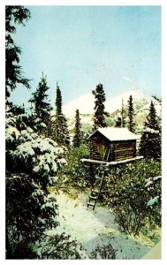 Postcard BUILDING SCENE Food Cache Alaska AK AP8063