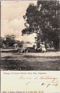 Argentina Paisaje Provincia Buenos Aires Vintage Postcard C204