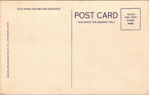 Vtg 1930s Creosote Bush on the Desert California CA Unused Linen Postcard