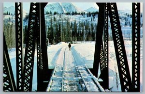 Postcard Honolulu Creek Alaska c1960s Moose On Railroad Track Winter Moosegooser