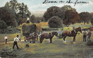 Donn On The Farm Unused 