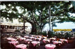 Postcard RESTAURANT SCENE Honolulu Hawaii HI AJ3197