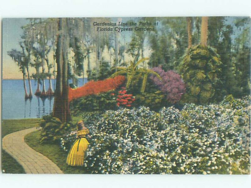 Linen CYPRESS GARDENS GIRL Winter Haven - Near Lakeland & Lake Wales FL AF6172