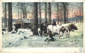 Maple Sugar, Vermont Farming, Farm, Farmer  1910 