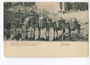 3016508 Turkey SMYRNE IZMIR Camel caravan Vintage PC