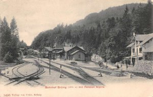 Brunig Switzerland Austria Train Station Pension Alpina Vintage Postcard AA83451