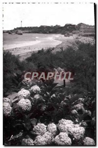 Modern Postcard Biarritz Hydrangeas and view of the Lighthouse