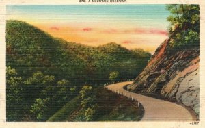 Vintage Postcard A Mountain Roadway Roadside Attraction Asheville Post Card