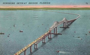 Vintage Postcard 1955 Sunshine Skyway Bridge Florida FL St. Petersburg Palmetto