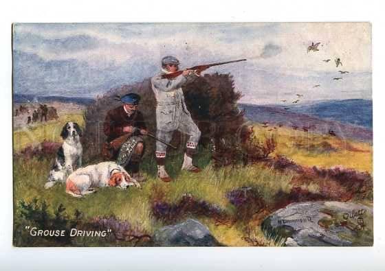 183031 Hunting grouse English SETTER dog Drummond Vintage TUCK