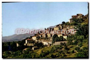 Postcard Modern Oletta Vue Generale