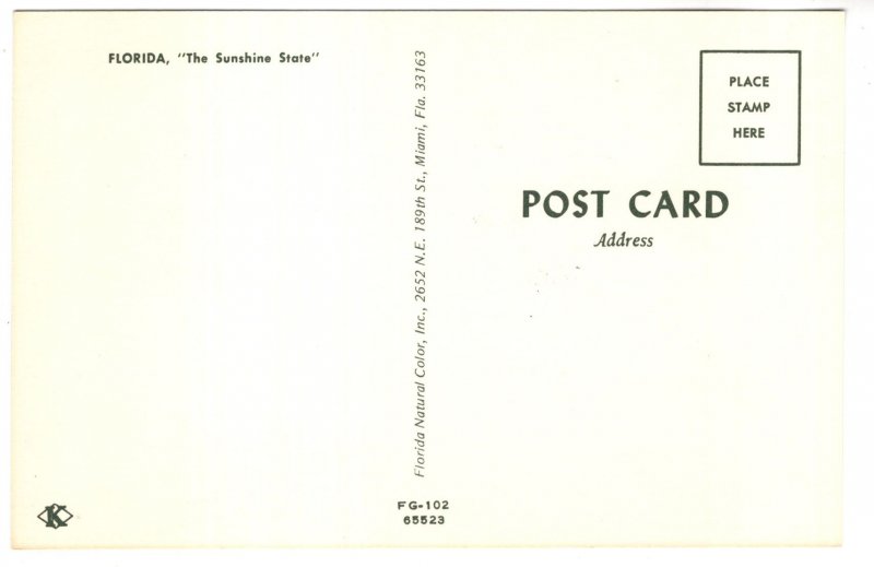 Greetings from Florida, Pictorial Map