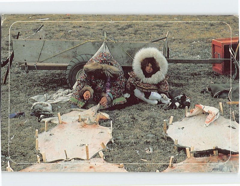 Postcard Stretching sealskin to dry, Holman, Canada