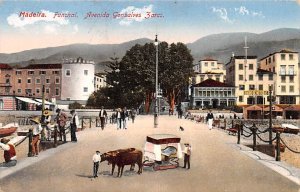 Avenida Gonsalves Zarco Portugal Post Card
