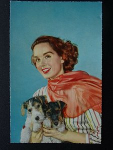 Portrait LADY IN SCARF WITH TERRIER PUPPIES Dog Breed c1950s RP Postcard