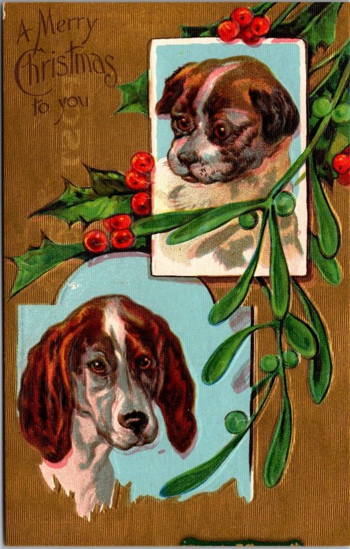 Two Christmas Postcards Dogs and Holly~3241