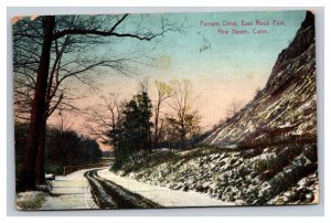Vintage 1910s Postcard Farnam Drive, East Rock Park New Haven, Connecticut