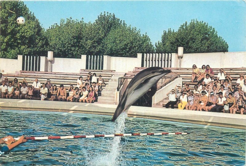Romania Constanta Dolphinarium dolphin trainer show postcards lot 