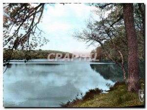 Postcard Modern Foret Tropicals Pond of Pirot