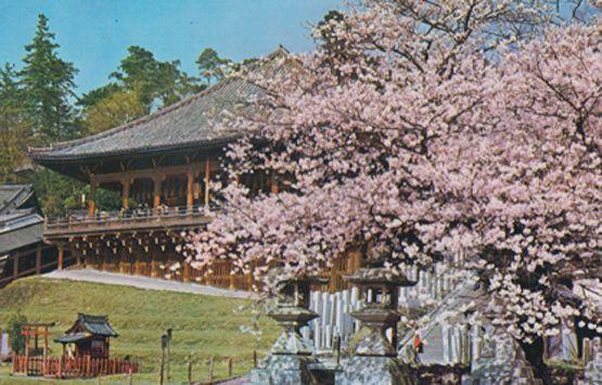 Nigatsu Do Todari Ji Temple Nara Japan Japanese Postcard